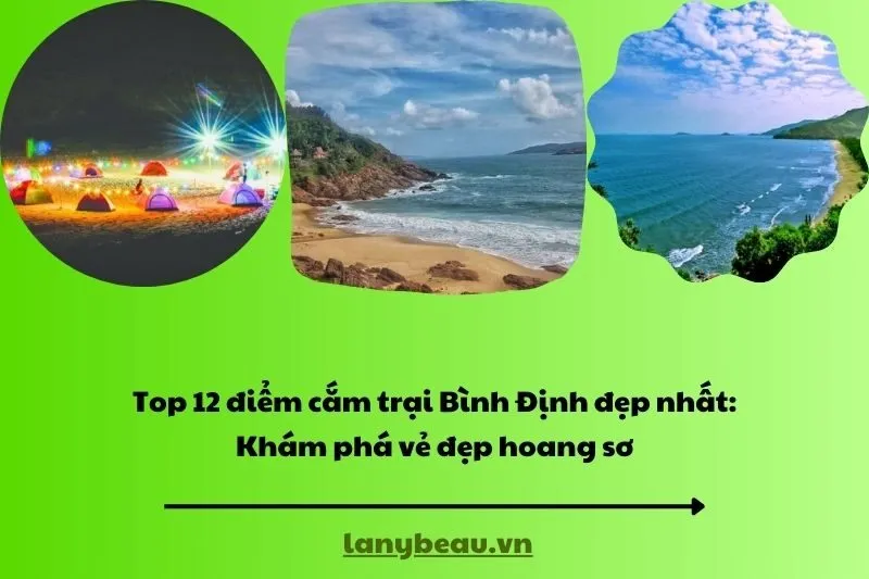 Top 12 điểm cắm trại Bình Định đẹp nhất Khám phá vẻ đẹp hoang sơ