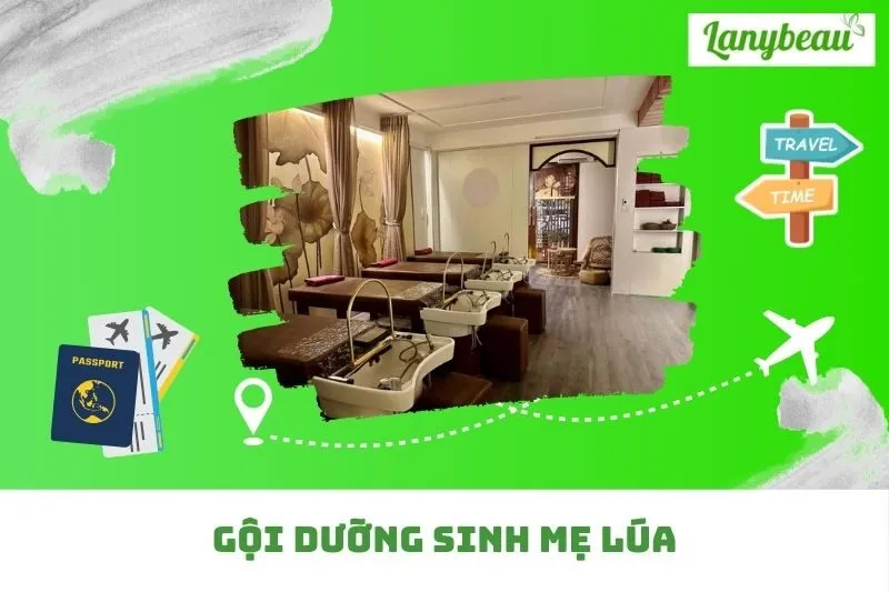 Gội Dưỡng Sinh Mẹ Lúa