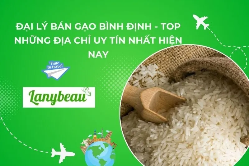 Đại Lý Bán Gạo Bình Định - Top Những Địa Chỉ Uy Tín Nhất Hiện Nay