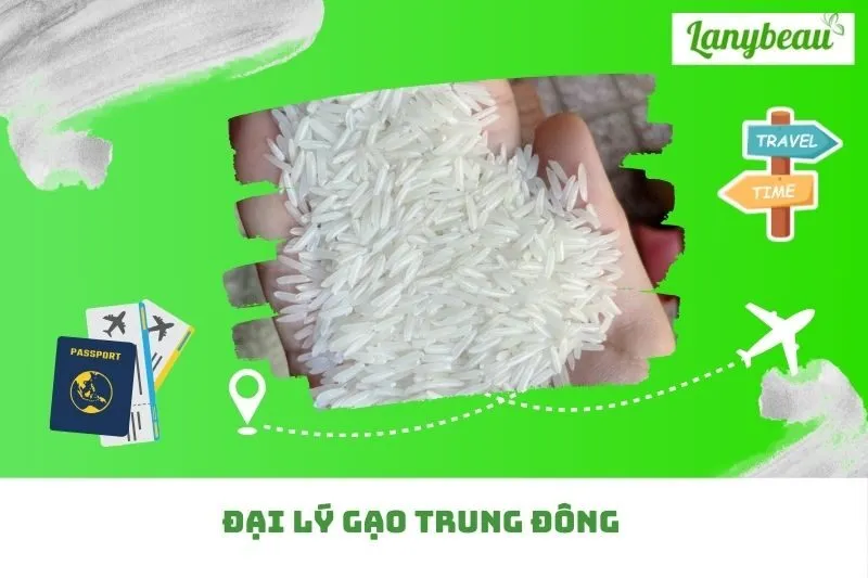 Đại Lý Gạo Trung Đông