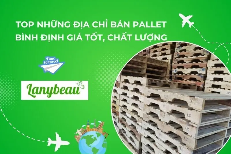 Top Những Địa Chỉ Bán Pallet Bình Định Giá Tốt, Chất Lượng