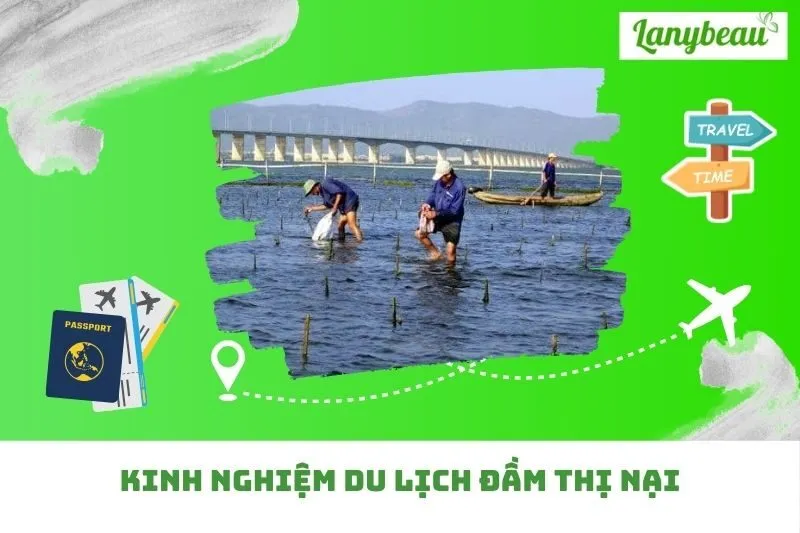 Kinh Nghiệm Du Lịch Đầm Thị Nại
