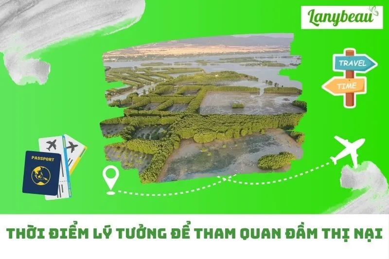 Thời Điểm Lý Tưởng Để Tham Quan Đầm Thị Nại
